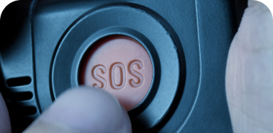 Panic Button System Plus