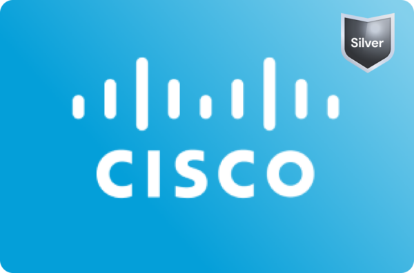 Internet Edge Access SDWAN Light 20Mbps