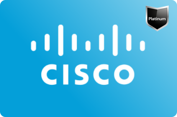 Internet Edge Access SDWAN Light 500Mbps
